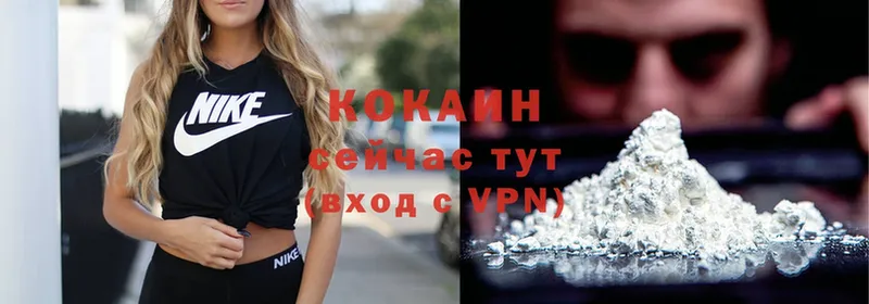 закладка  Билибино  Cocaine Эквадор 